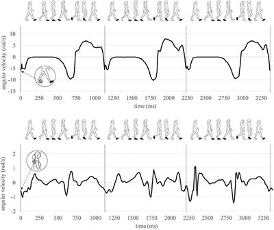 Gait Stability and Its Influencing Factors in Older Adults